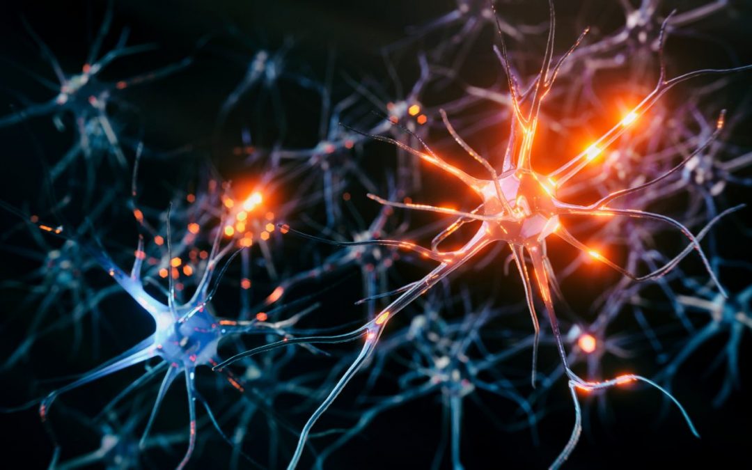 Neues Material kann durchtrennte Nerven wieder verbinden